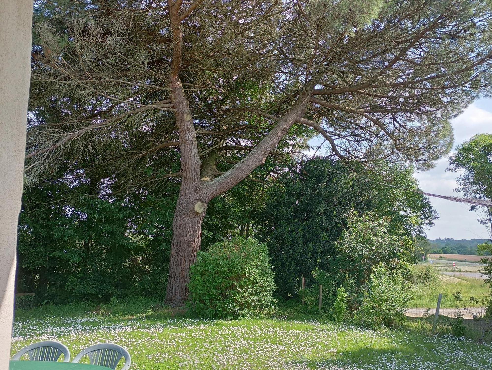 Gite Du Petit Gue Frossay Quarto foto